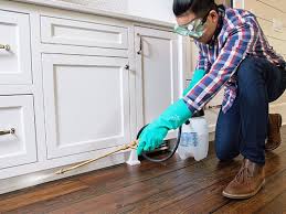 Best Real Estate Pest Inspections  in Grafton, ND